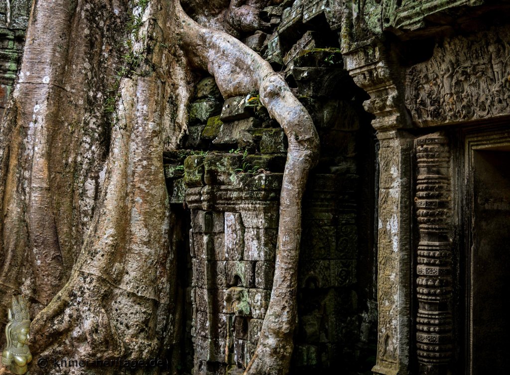 024 DSC5307 Ta Prohm