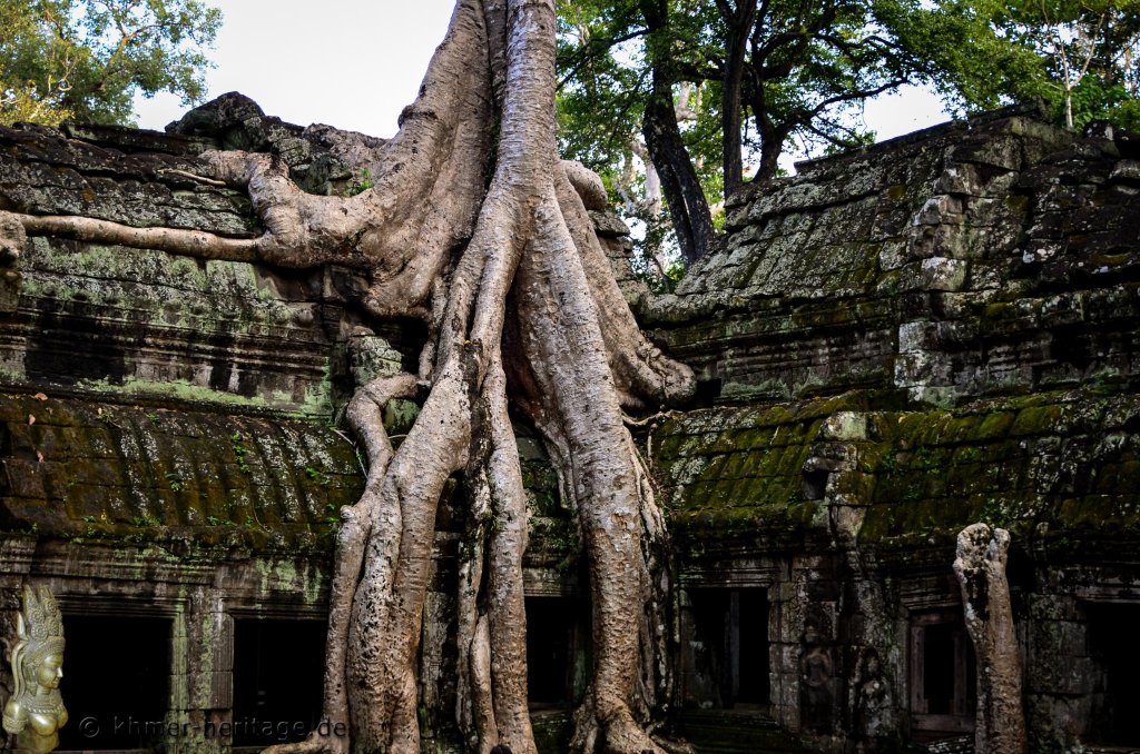 035 DSC5375 Ta Prohm