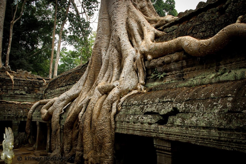 046 DSC4055 Ta Prohm