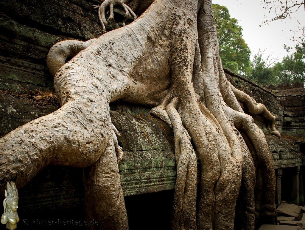 047 DSC4045 Ta Prohm