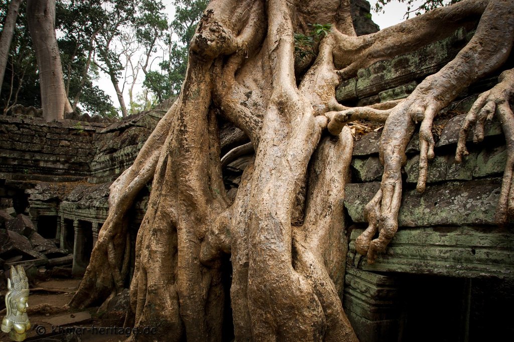 048 DSC4038 Ta Prohm