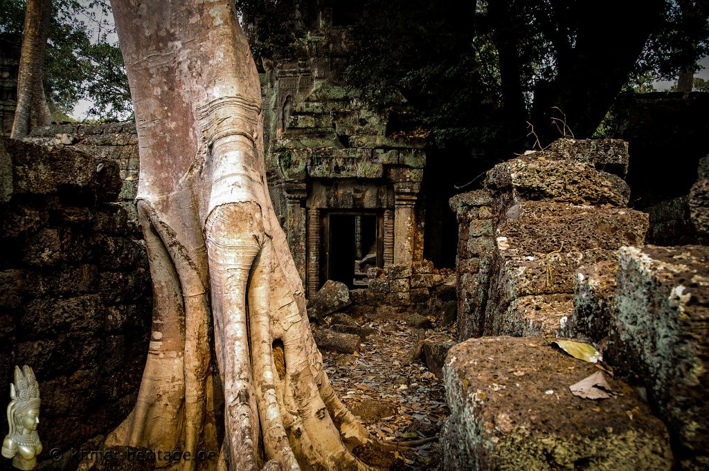 049 DSC1489 Ta Prohm