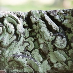 Banteay Kdei - carving details Detail eines mit Flechten bedeckten Flachreliefs / Detail of a bas relief coverd with lichen