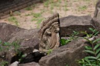 Banteay Prei Fragment einer Naga Skulptur im Banteay Prei Tempel / Fragment of a Naga sculpture at Banteay Prei Temple