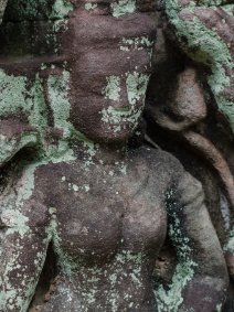 Banteay Prei Von Flechten bedeckte Devata-Apsara im Tempel Banteay Prei / Devata-Apsara covered by lichen at Banteay Prei Temple