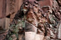 Banteay Srei - Naga Naga Skulptur im Banteay Srei Tempel / Naga sculpture at Banteay Srei Temple