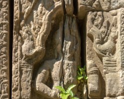 Banteay Thom Dvarapala at Banteay Thom Temple