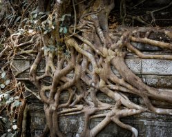 007_DSC4328_Beng_Mealea