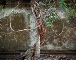 009_DSC1883_Beng_Mealea