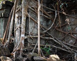 014_DSC1827_Beng_Mealea