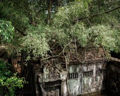 006_DSC4320_Beng_Mealea