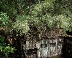 006 DSC4320 Beng Mealea