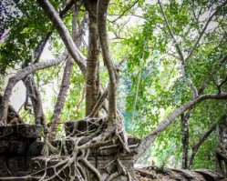 014_DSC4315_Beng_Mealea