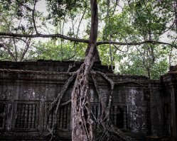 015 DSC4313 Beng Mealea