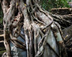 005_DSC_1754_bengmealea