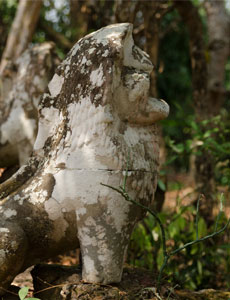 Phnom Bok Lions