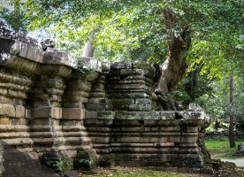 Preah Pithu Tempel X (483)  Ruinen von Tempel X (483) bei Preah Pithu / Ruins of Temple X (483) at Preah Pithu