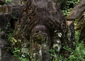 Preah Pithu Tempel V (484)  Zerbrochene Naga-Statue auf dem Boden bei Tempels V / Broken Naga statue lying on the ground at Temple V