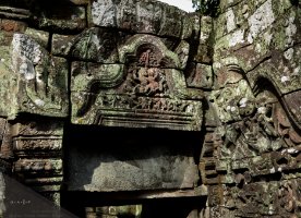 Preah Pithu Tempel Y (485)  Ruinen von Tempel Y (485) bei Preah Pithu / Ruins of Temple Y (485) at Preah Pithu