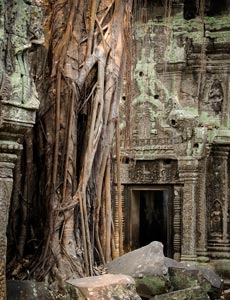 Ta Prohm Imp.