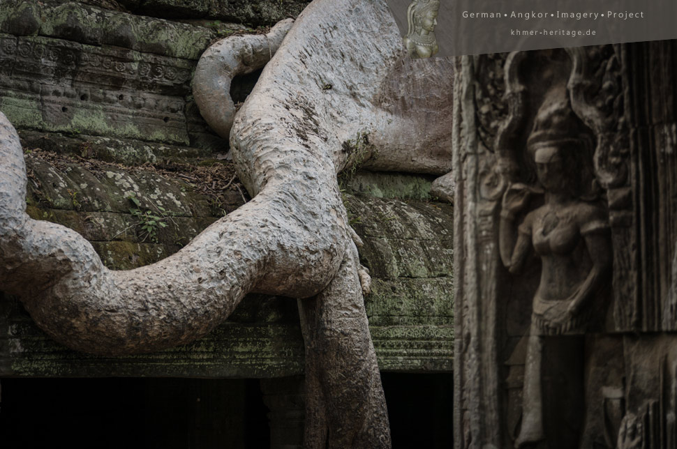 Ta Prohm