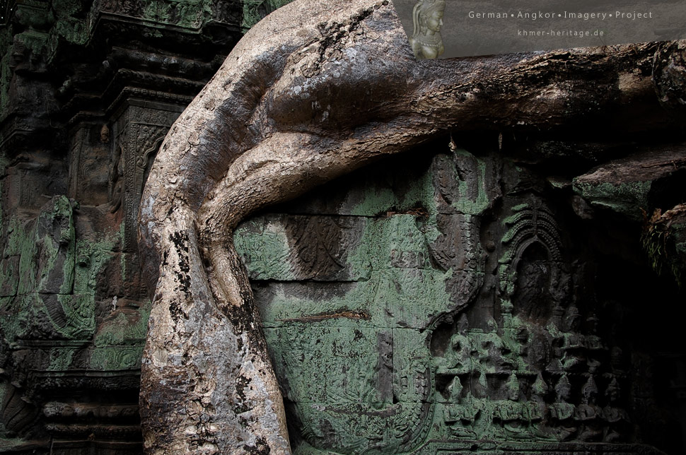 Ta Prohm Roots & Pediment