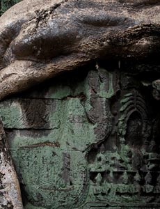 Ta Prohm Imp.