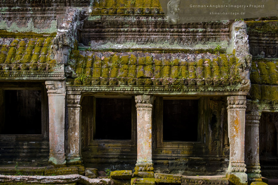 Ta Prohm Gallery