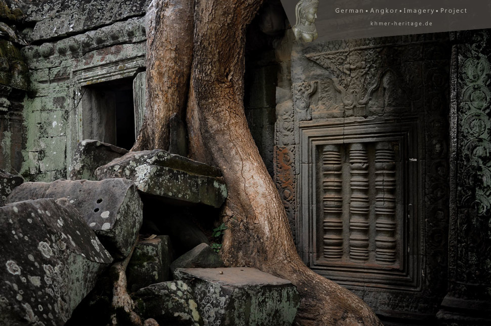 Ta Prohm Ruins