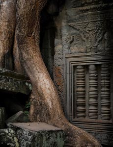 Ta Prohm Imp.