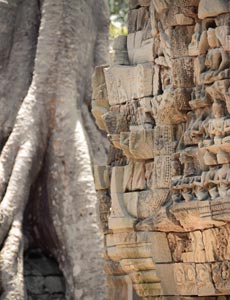 Ta Prohm Imp.