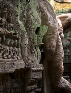 Ta Prohm Imp.