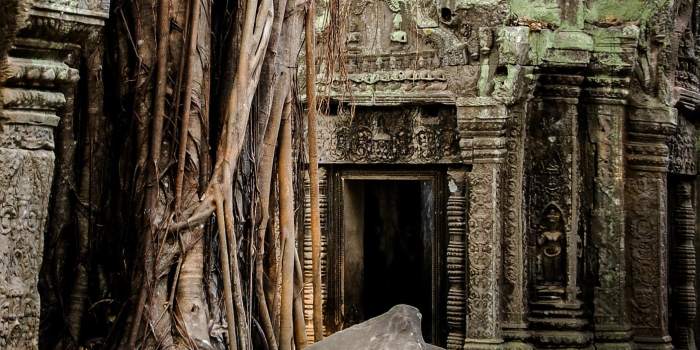 Ta Prohm Temple